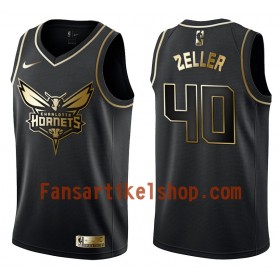 NBA Charlotte Hornets Trikot Cody Zeller 40 Nike Schwarz Golden Edition Swingman - Herren